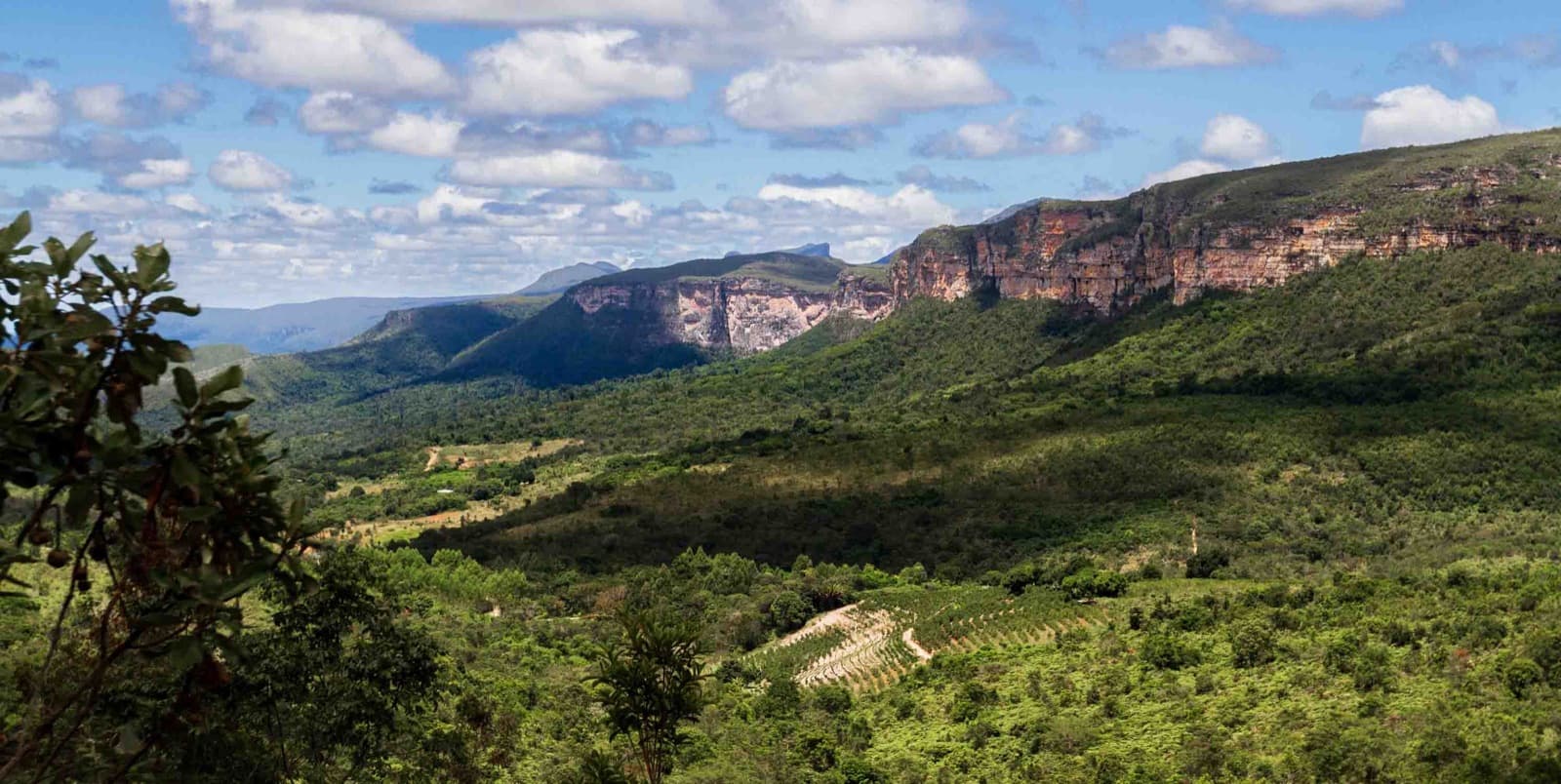 Plantio comunitário na Chapada Diamantina